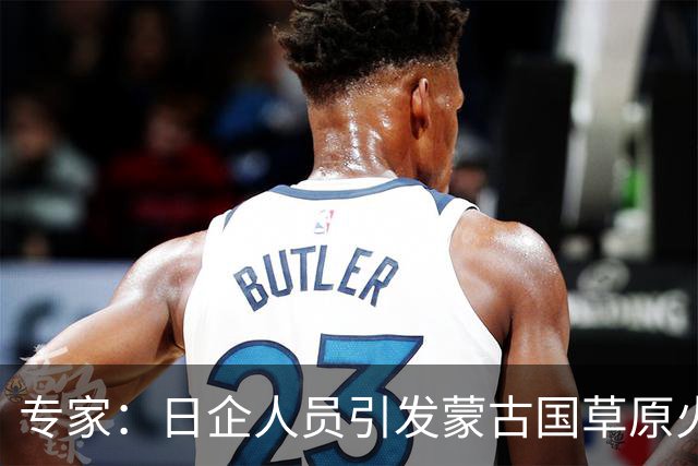 专家：日企人员引发蒙古国草原火灾的生态影响复杂