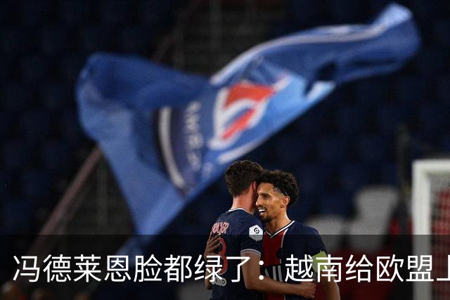 冯德莱恩脸都绿了：越南给欧盟上了一课：什么叫 “中国力量”！