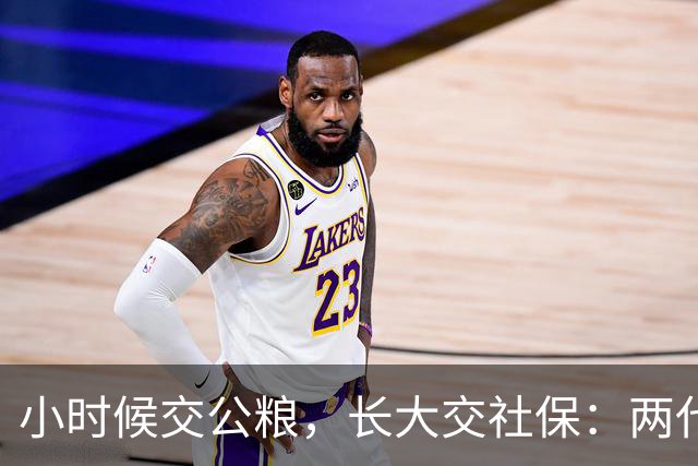 小时候交公粮，长大交社保：两代人的账，其实是一本账