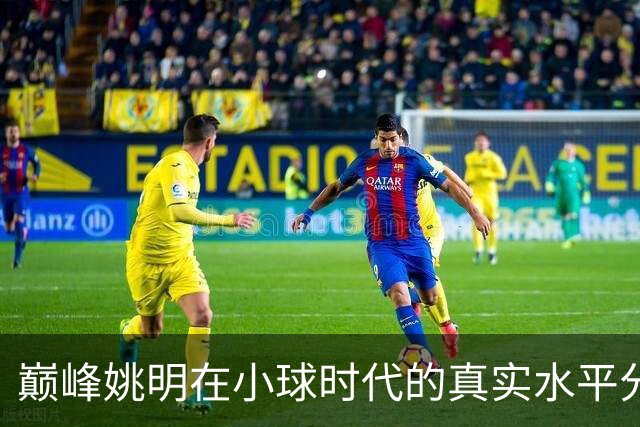 巅峰姚明在小球时代的真实水平分析