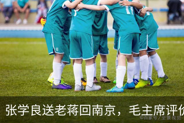 张学良送老蒋回南京，毛主席评价：不回南京，就没有“和平解决”