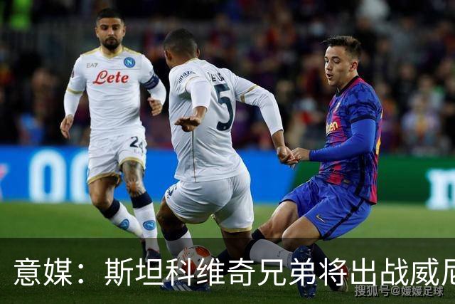 意媒：斯坦科维奇兄弟将出战威尼斯对国米比赛，二人首次对阵