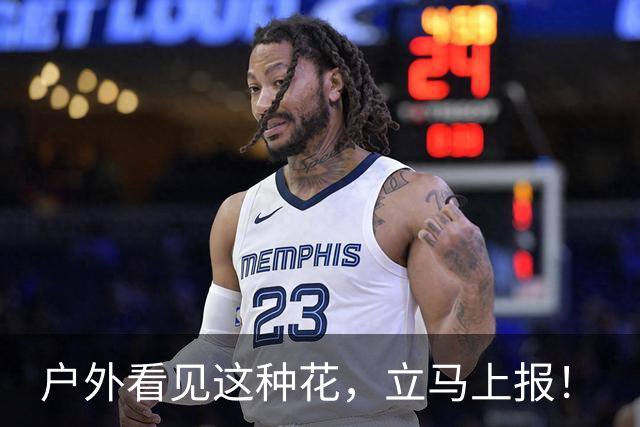 户外看见这种花，立马上报！