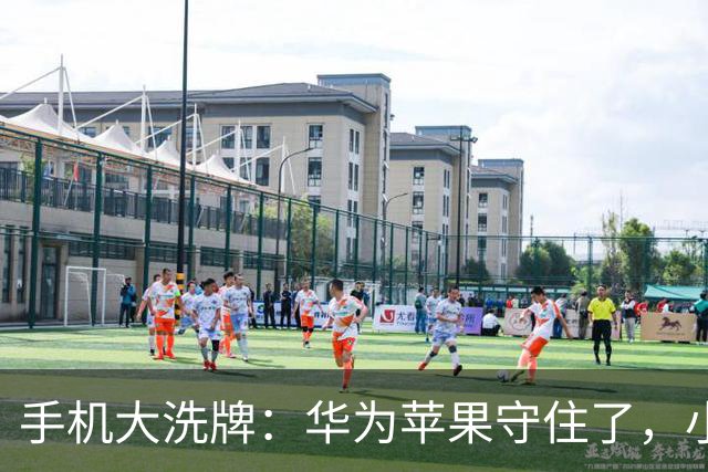 手机大洗牌：华为苹果守住了，小米OV换打法