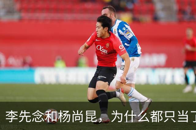 李先念和杨尚昆，为什么都只当了一届国家主席？