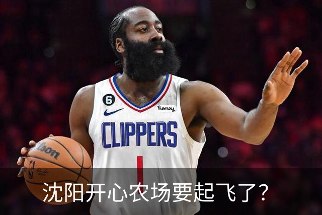 沈阳开心农场要起飞了？