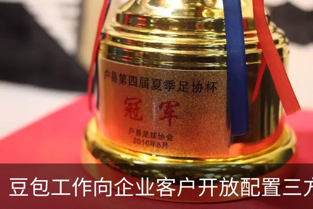 豆包工作向企业客户开放配置三方模型