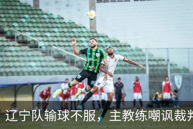 辽宁队输球不服，主教练嘲讽裁判太过分，杨鸣发言引争议