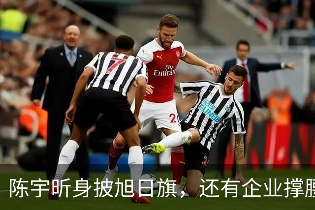 陈宇昕身披旭日旗，还有企业撑腰，汤家凤怒喊露头就打